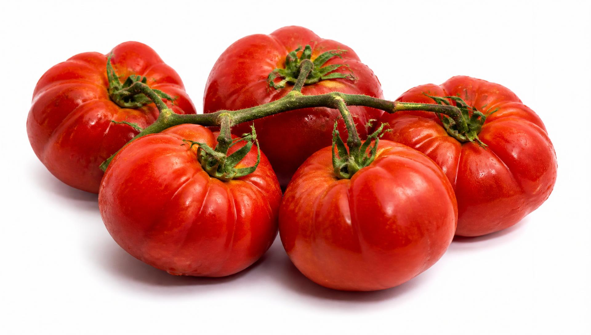 A cluster of imperfect heirloom tomatoes on the vine against white